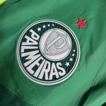 Veste / Survêtement  Palmeiras 2023 2024