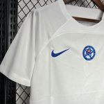 Slovaquie maillot foot 2024 2025 extérieur