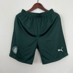 Short de Football Palmeiras 2023 2024