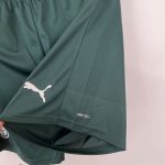 Short de Football Palmeiras 2023 2024