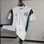 Palmeiras maillot entraînement 2023 2024