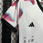 Japan-Konzept-Fußballtrikot Roronoa Zoro 2022 2023