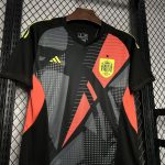 Camiseta españa futbol 2024 2025 portero