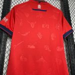 Osasuna Maillot foot domicile 2024 2025