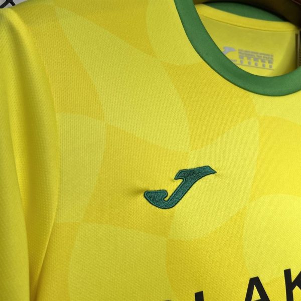 Norwich City FC maillot foot domicile 2024 2025