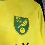 Norwich City FC maillot foot domicile 2024 2025