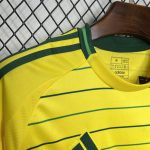 Celtic Maillot foot 2024 2025 extérieur