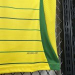 Celtic Maillot foot 2024 2025 extérieur