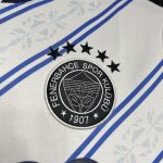 Fenerbahce  maillot foot extérieur 2024 2025