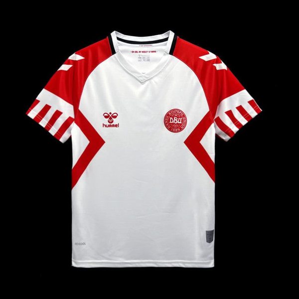 Danemark maillot 2023 2024