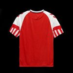 Denmark jersey 2023 2024