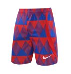 FC Barcelona Fußballshorts 2023 2024