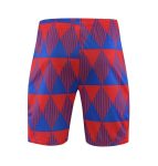 FC Barcelona Fußballshorts 2023 2024