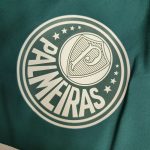 Veste / Survêtement Palmeiras 2023 2024