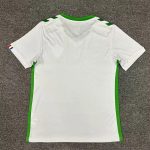 AS Saint-Étienne Fußballtrikot 2024 2025 Away ASSE